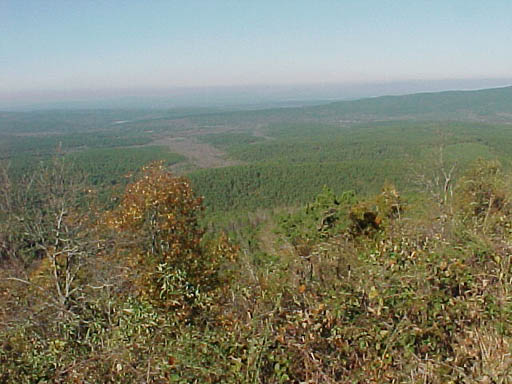 MVC-006F