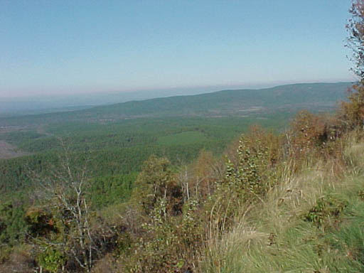MVC-007F
